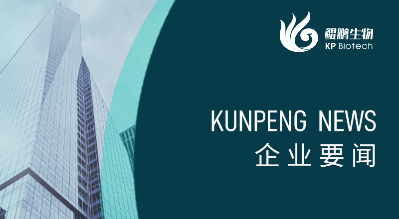 科技引领 “兔”显创新——宁波快盈VIII荣获“高新技术企业”及“创新型中小企业”认定